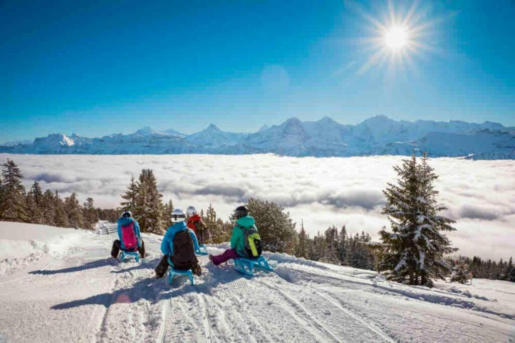 Chalet Mignon - Your Vacation Oasis At Lake Brienz Бьоніген Екстер'єр фото