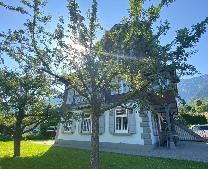 Chalet Mignon - Your Vacation Oasis At Lake Brienz Бьоніген Екстер'єр фото