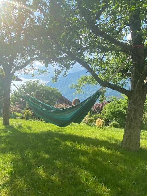 Chalet Mignon - Your Vacation Oasis At Lake Brienz Бьоніген Екстер'єр фото
